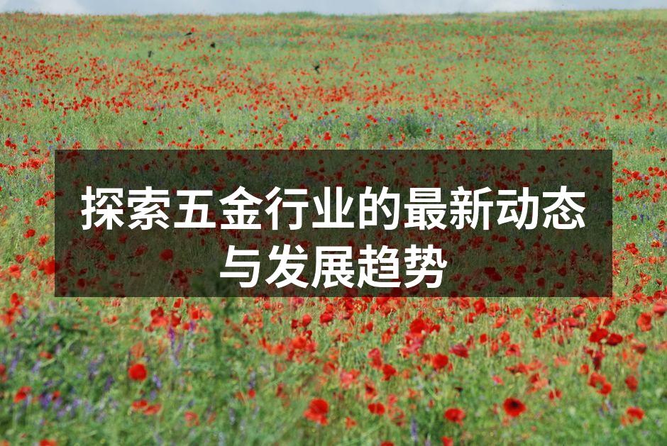 探索五金行业的最新动态与发展趋势