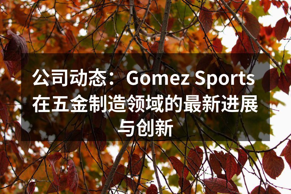 公司动态：Gomez Sports 在五金制造领域的最新进展与创新