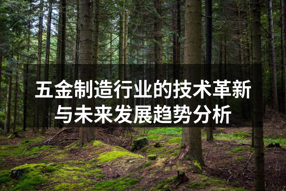 五金制造行业的技术革新与未来发展趋势分析